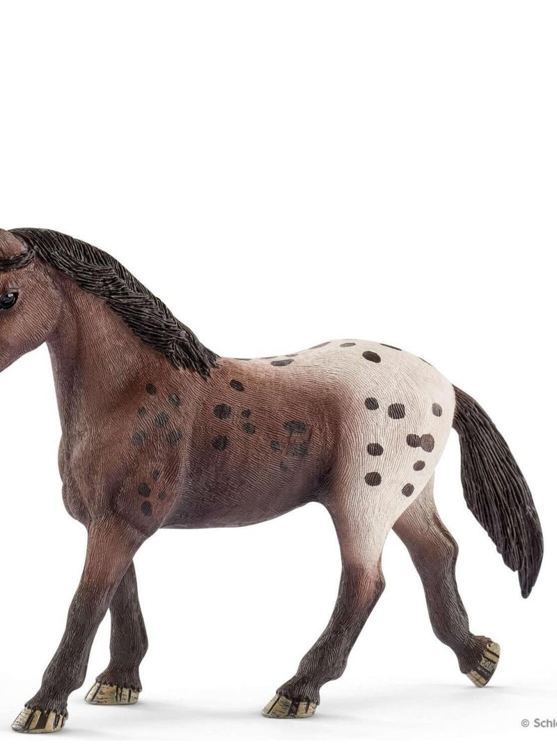 Jument Appaloosa N/A - Kiabi