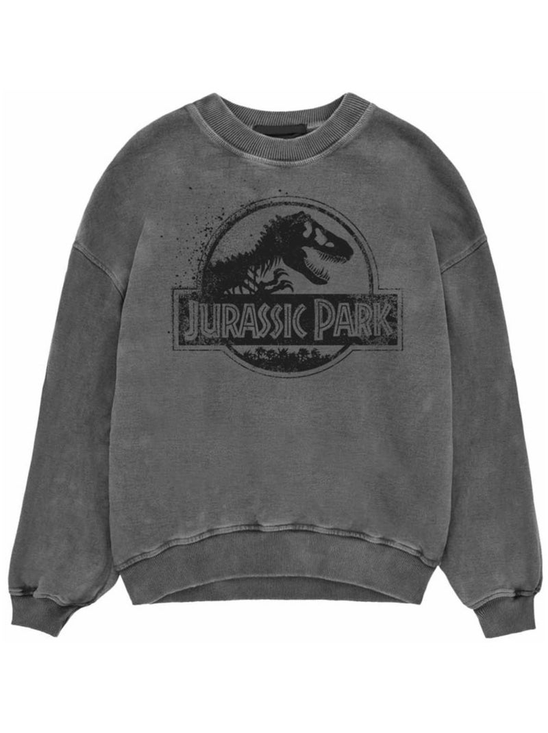 Jurassic Park - Sweat Noir - Kiabi