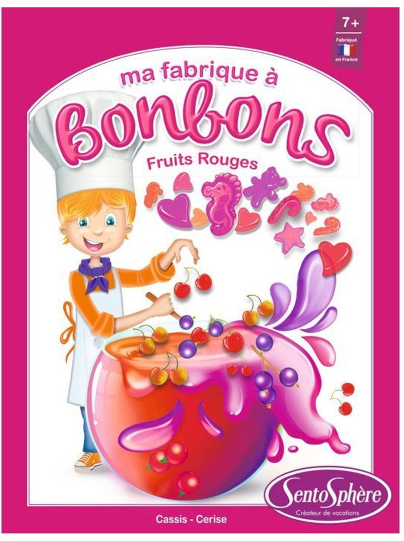 Kit créatif alimentaire - sentosphere - mini fabrique à bonbons - fruits rouges - dès 7 ans Rose - Kiabi