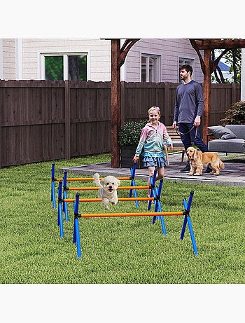 Kit d'agilité chien hauteur réglable sac transport inclus