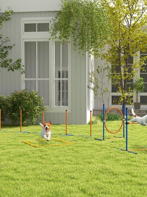 Kit d'agilité complet chien slalom, anneau de saut, haies et accessoires - Kiabi