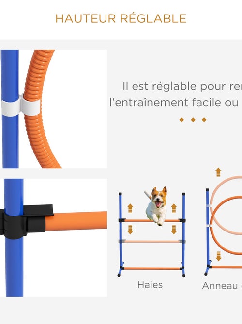 Kit d'agilité complet chien slalom, anneau de saut, haies et accessoires - Kiabi