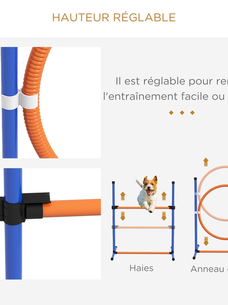 Kit d'agilité complet chien slalom, anneau de saut, haies et accessoires Orange - Kiabi
