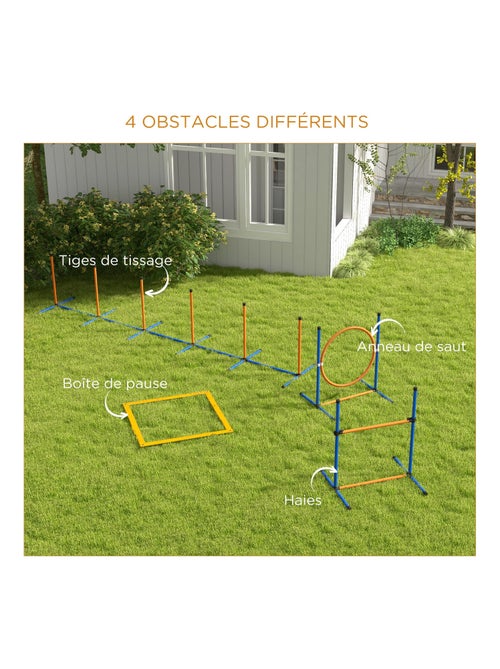 Kit d'agilité complet chien slalom, anneau de saut, haies et accessoires - Kiabi