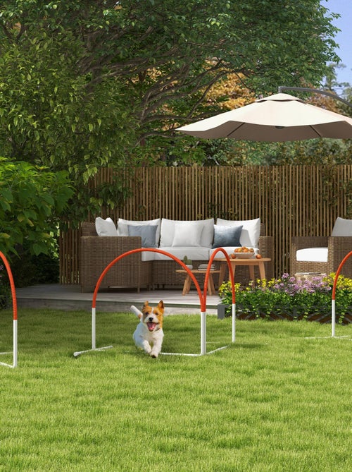 Kit d'agilité pour chien 4 pièces hooper agility - Kiabi