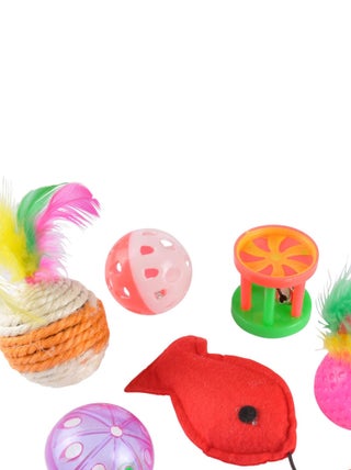 Kit de 6 jouets grelots pour chat