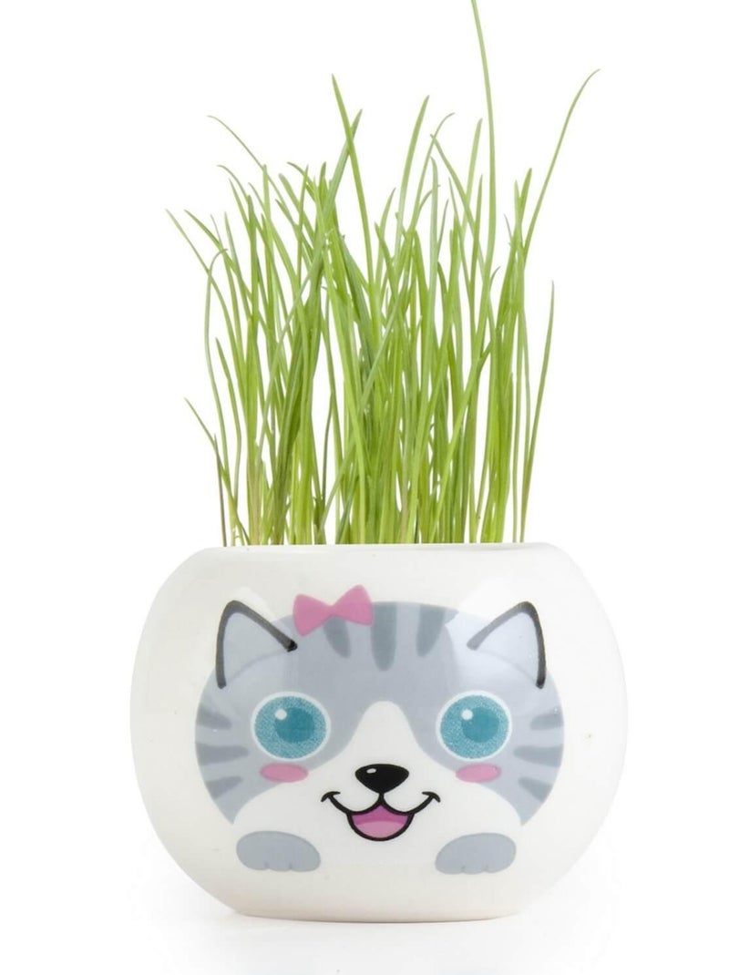 Kit de jardinage : céramique chat gris N/A - Kiabi