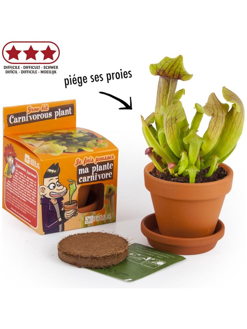 Kit de jardinage : Graines de plantes carnivores - A faire pousser