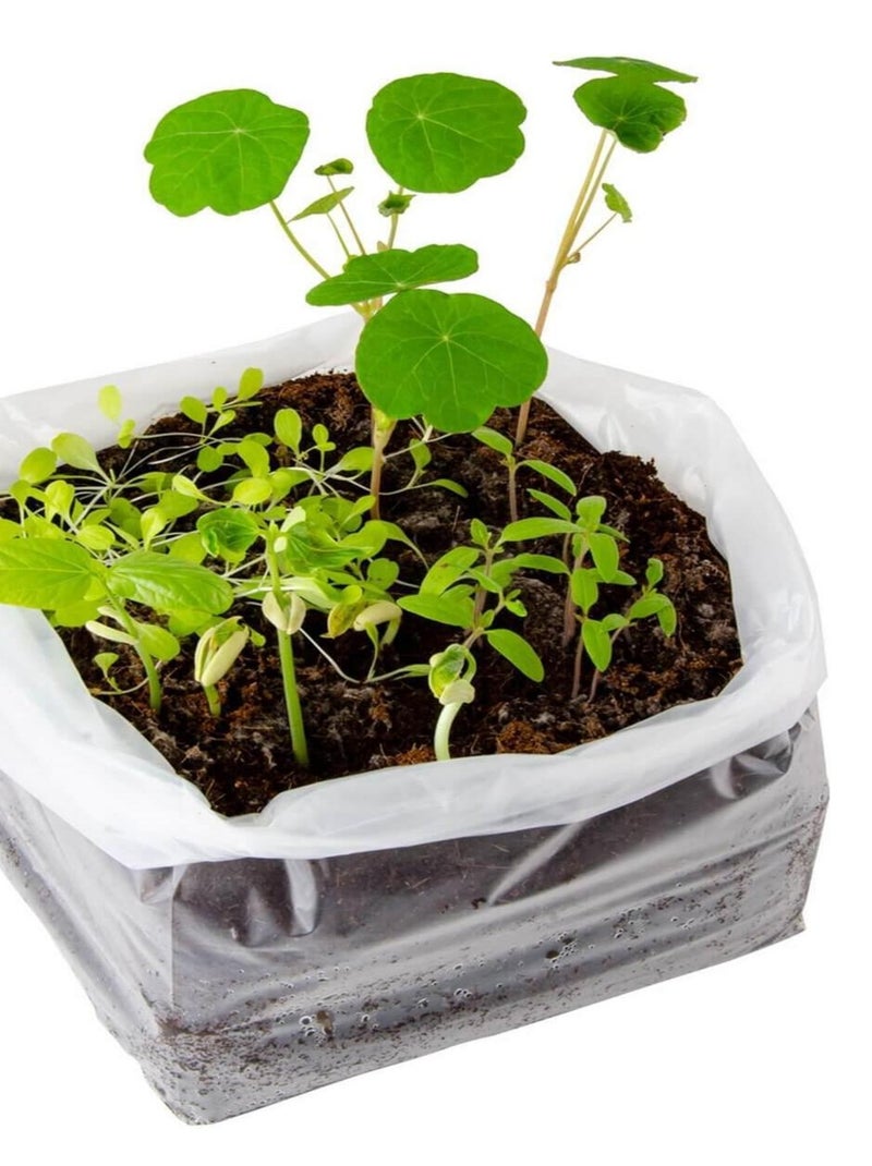 Kit de jardinage : L'Atelier Maxi Potager bio N/A - Kiabi