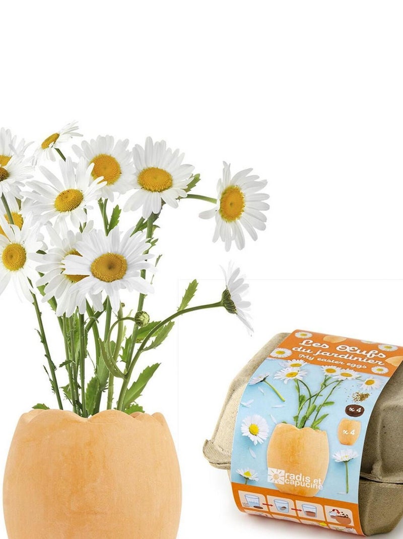 Kit de jardinage : Les oeufs du Jardinier N/A - Kiabi