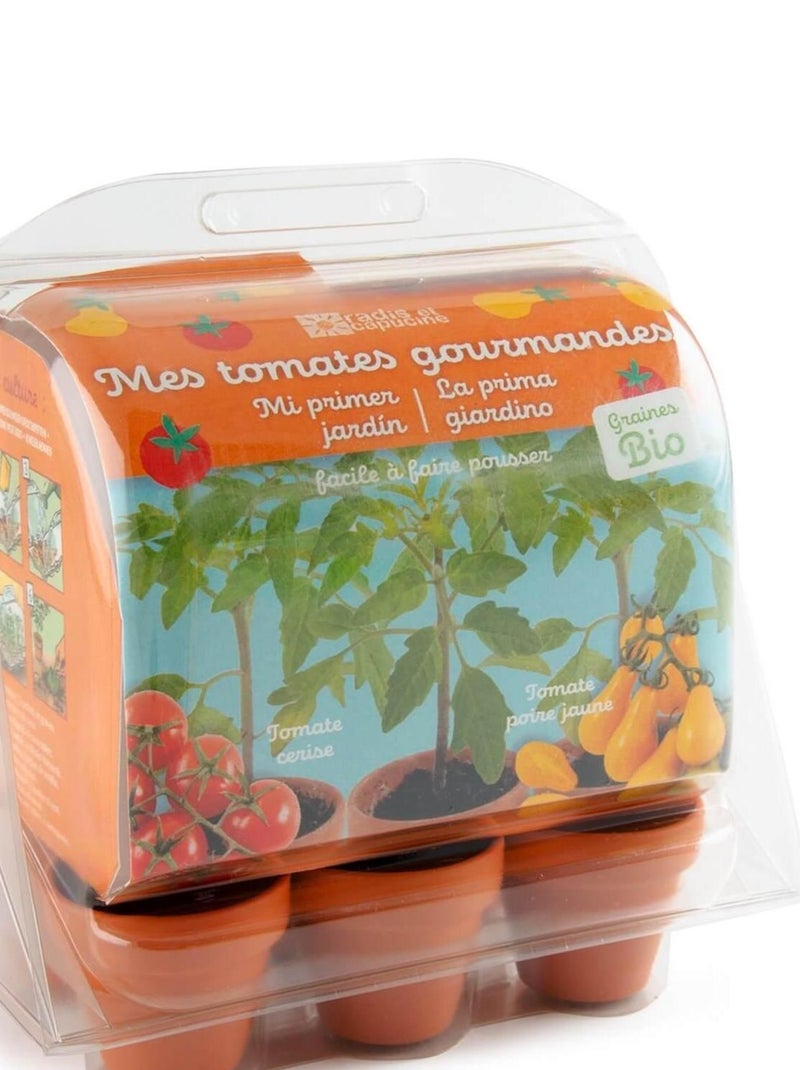 Kit de jardinage : Mini serre 6 pots avec Tomates bio N/A - Kiabi