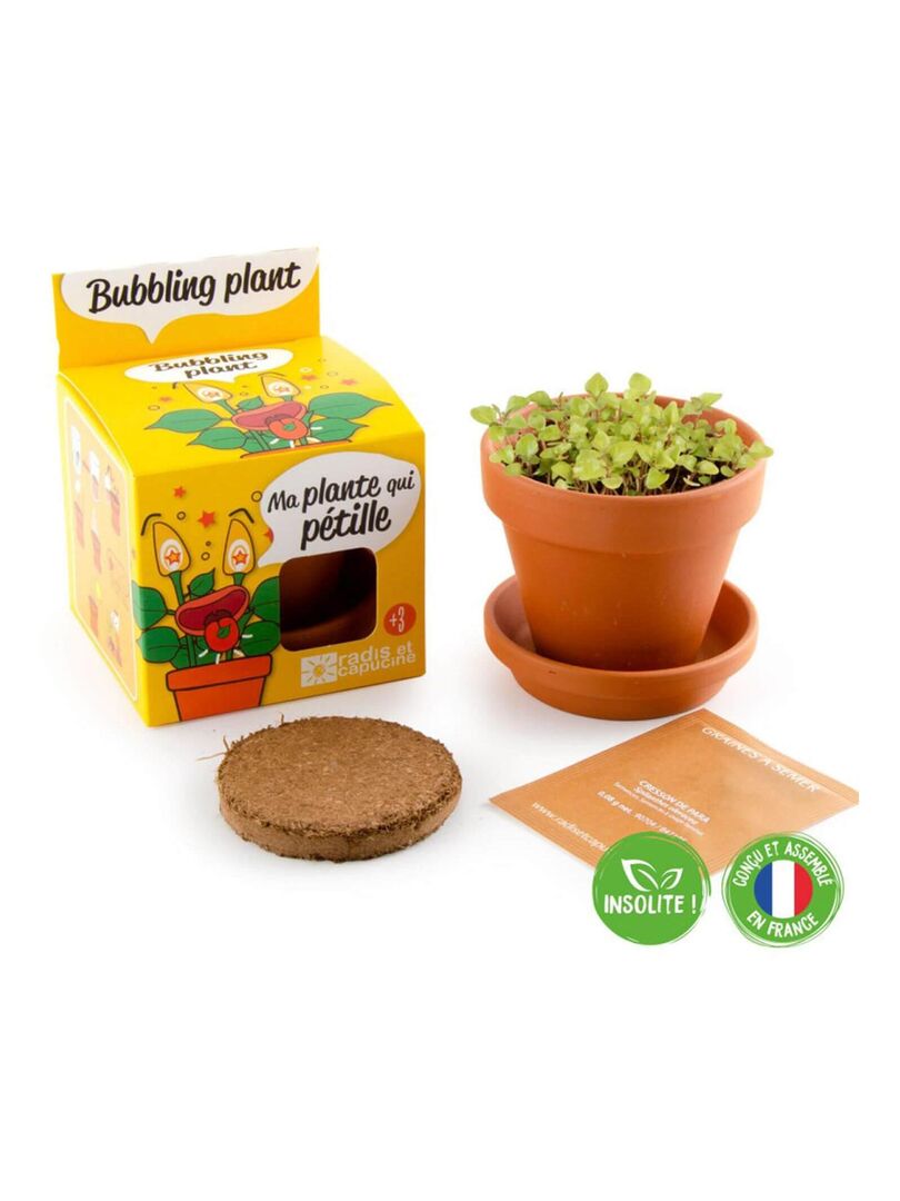 Kit Serre Jardinage Enfant Avec 15 Pots Et Graines Françaises - Jeu éducatif Dès 4 Ans