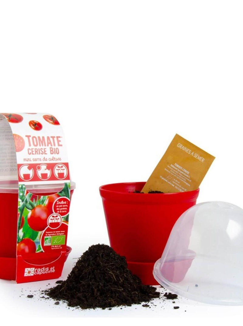 Kit de jardinage : Pot cloche Tomate cerise bio N/A - Kiabi