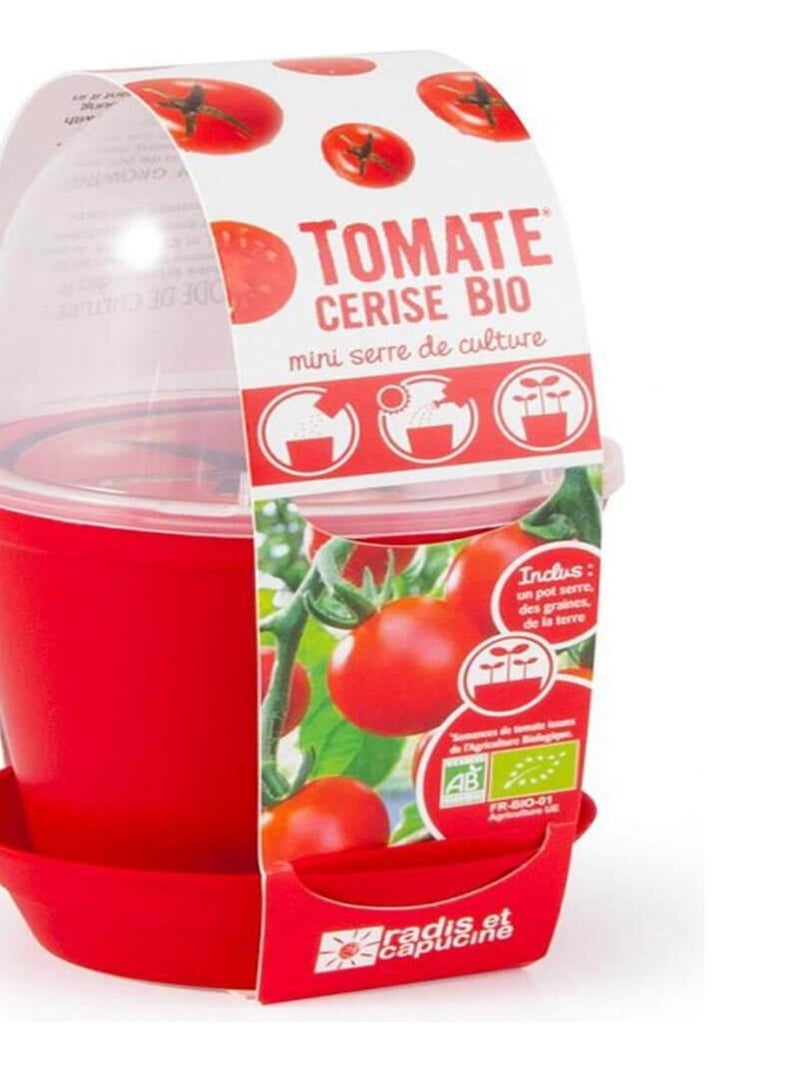 Kit de jardinage : Pot cloche Tomate cerise bio N/A - Kiabi