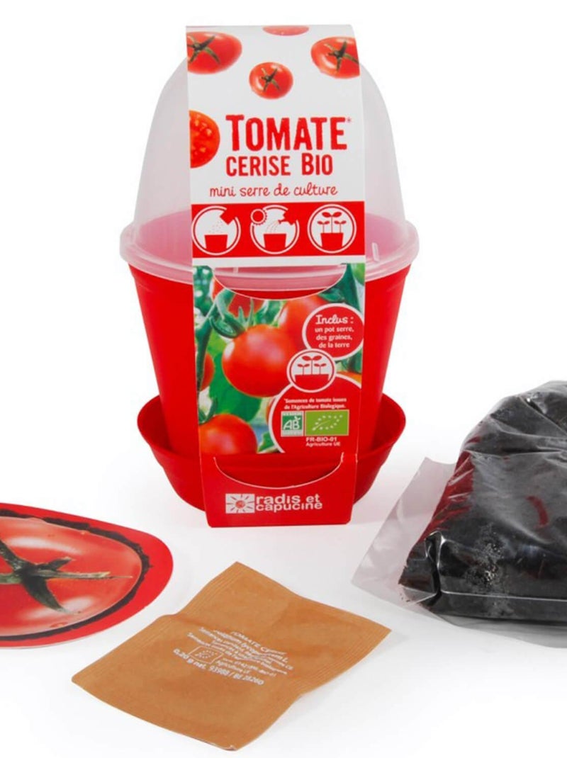 Kit de jardinage : Pot cloche Tomate cerise bio N/A - Kiabi