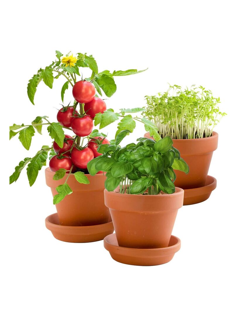 Kit de jardinage : Trio 3 pots plantes gourmandes bio N/A - Kiabi