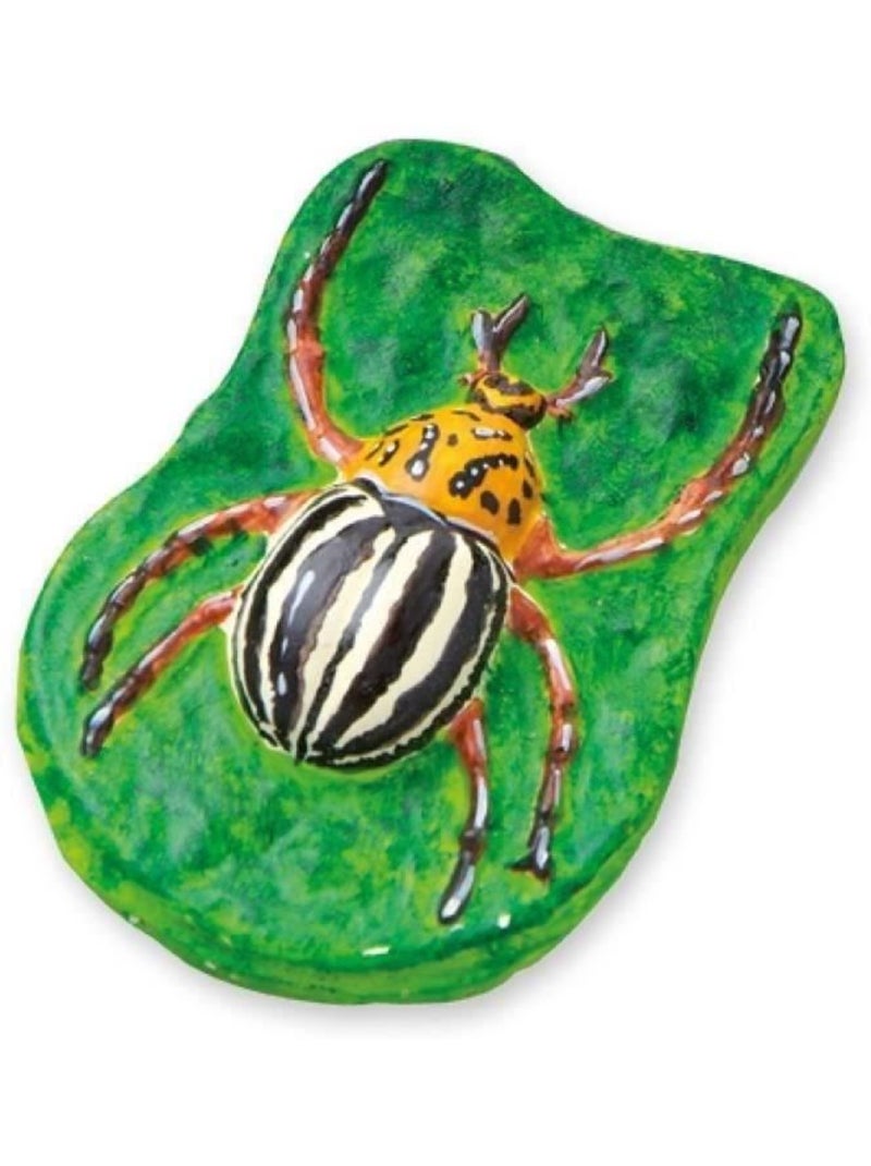 Kit de moulage en plâtre Glow in the dark : Insectes et animaux N/A - Kiabi