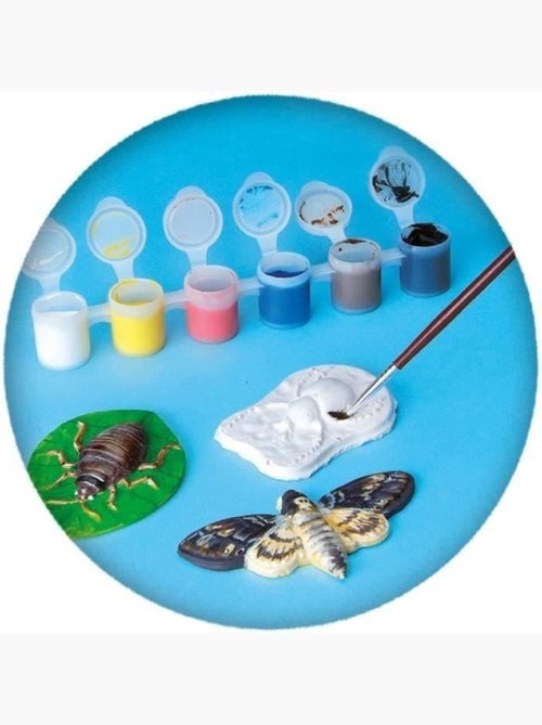 Kit de moulage en plâtre Glow in the dark : Insectes et animaux - Kiabi