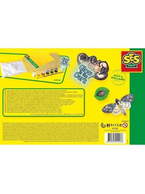 Kit de moulage en plâtre Glow in the dark : Insectes et animaux - Kiabi