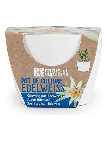 Kit jardinage : céramique blanc Edelweiss - Kiabi