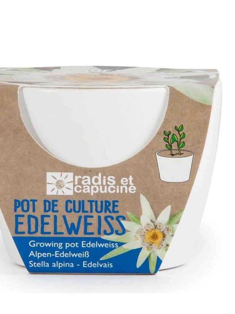 Kit jardinage : céramique blanc Edelweiss N/A - Kiabi