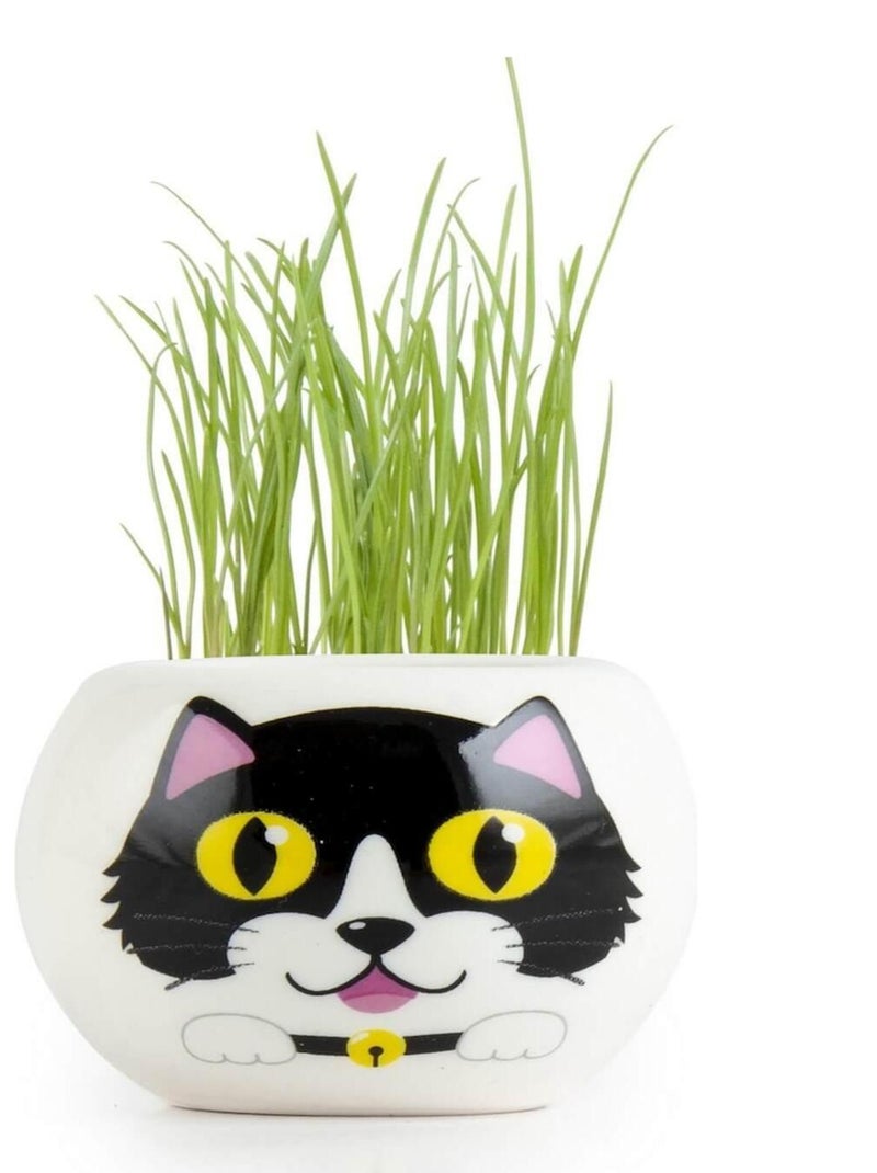 Kit jardinage : céramique chat noir N/A - Kiabi