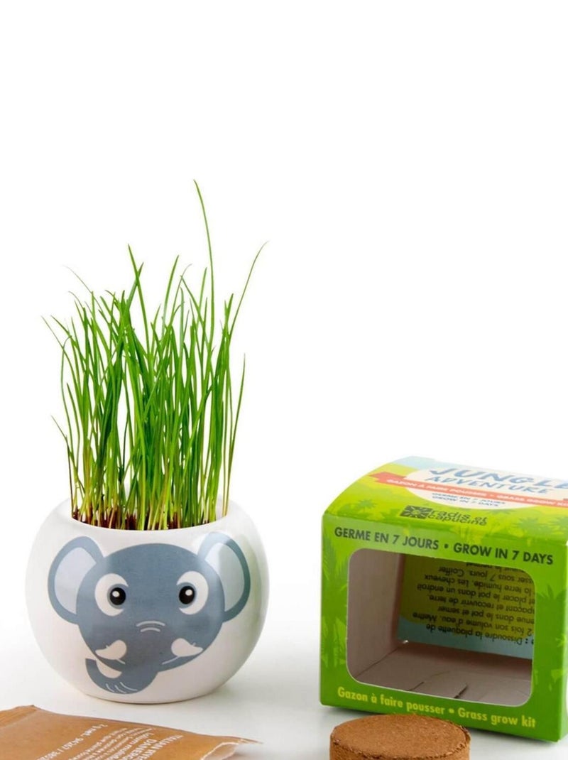 Kit jardinage : céramique Éléphant N/A - Kiabi