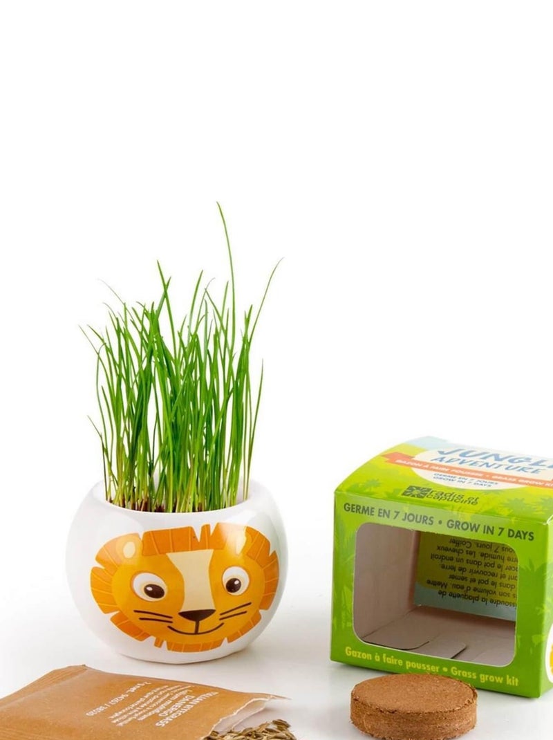 Kit jardinage : céramique Lion N/A - Kiabi