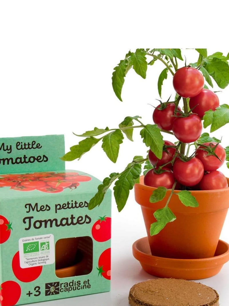 Kit jardinage : Tomates bio N/A - Kiabi