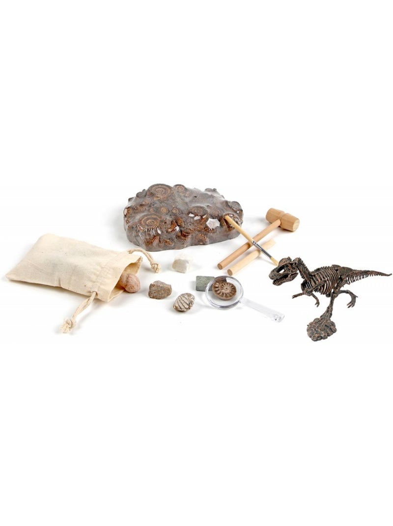 Kit paleo - a travers les âges Noir - Kiabi