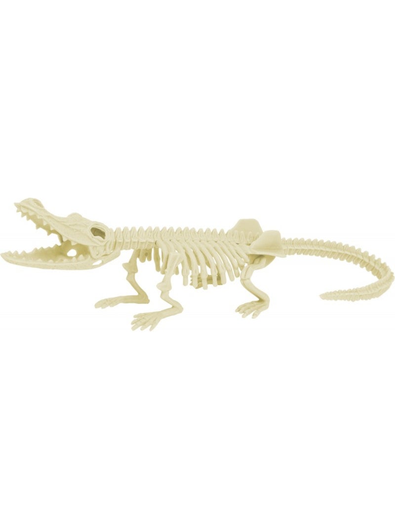 Kit paleo - crocodile Gris - Kiabi
