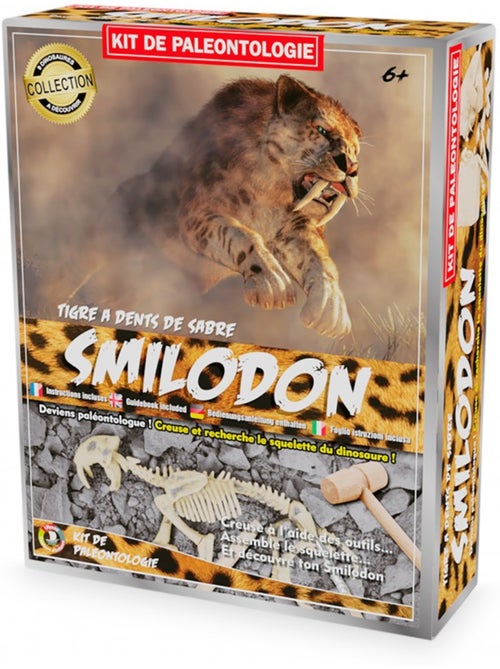 Kit paleo - smilodon - Kiabi
