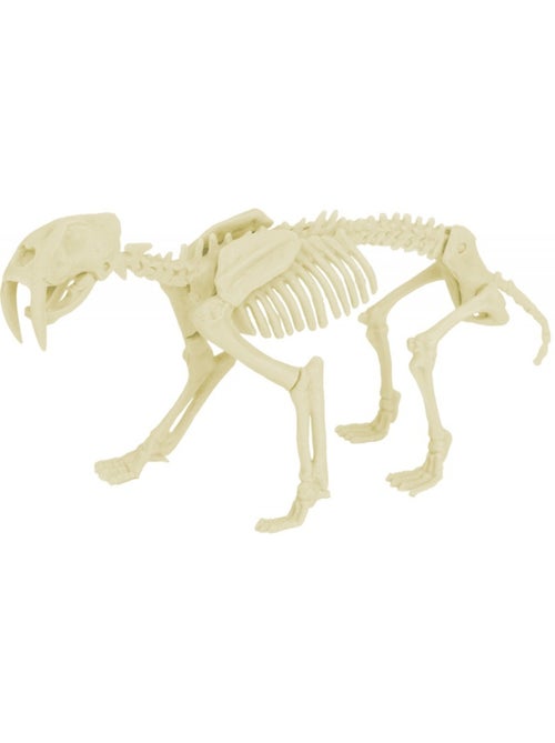 Kit paleo - smilodon - Kiabi