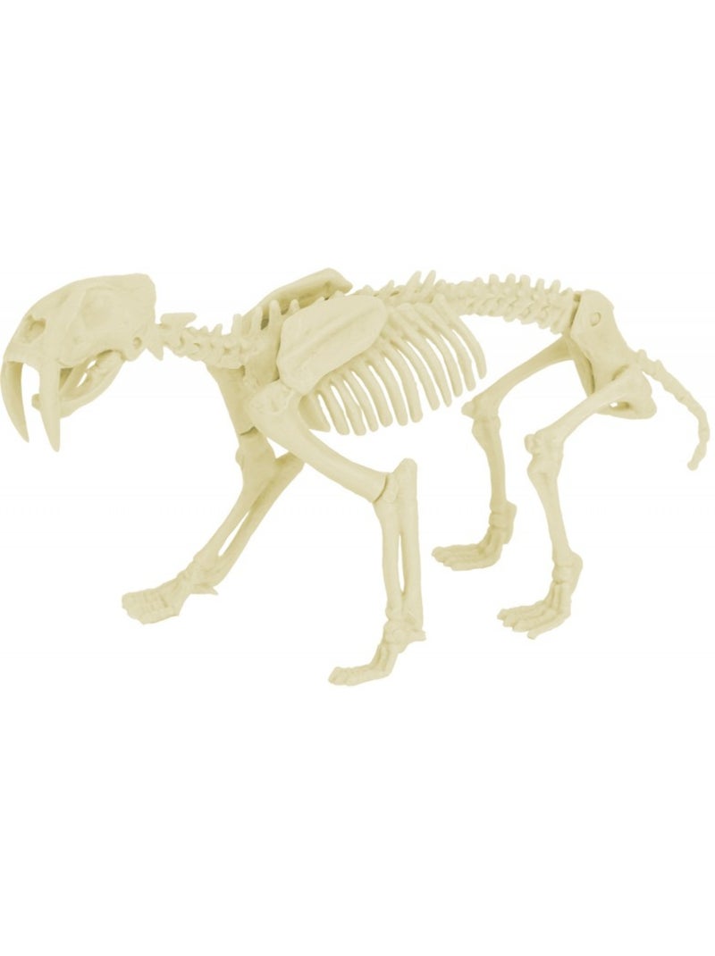 Kit paleo - smilodon Orange - Kiabi