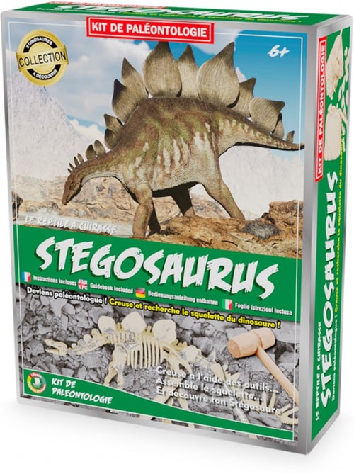 Kit paleo - stégosaure - Kiabi