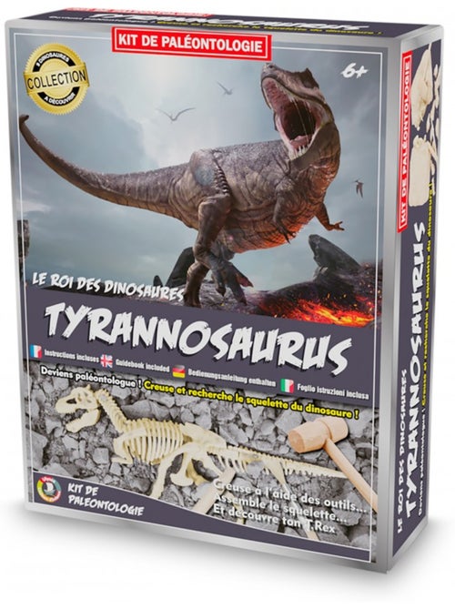 Kit paleo - tyrannosaure - Kiabi