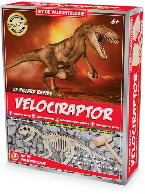 Kit paleo - vélociraptor - Kiabi