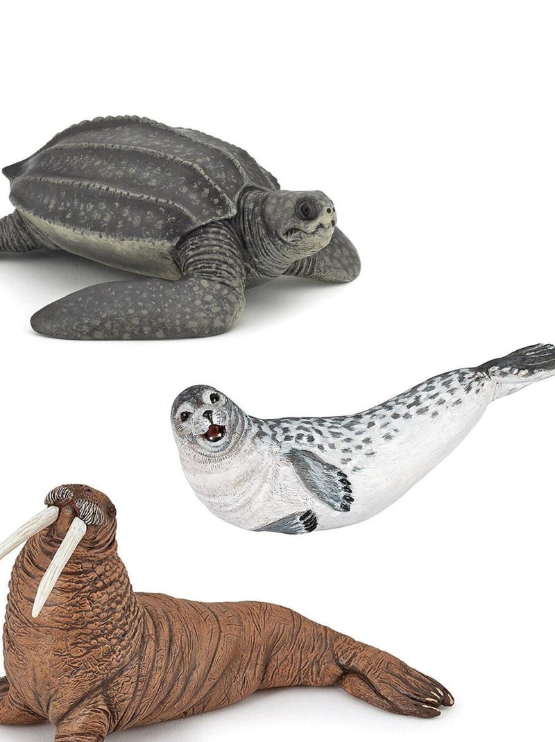 Kit Papo : Figurines animaux marins (tortue, phoque et morse) N/A - Kiabi