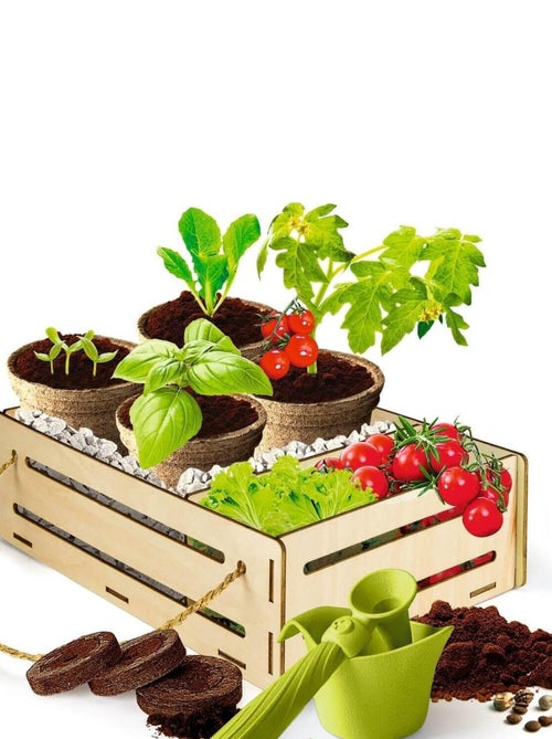 Kit science et jeu : Play for Future : Jardin potager - Kiabi