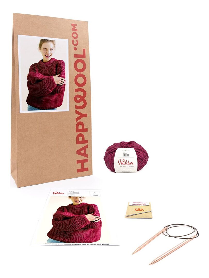 Pingouin Kit Tricot Pull Femme Sans Manches Alpaga Carla - Idéal Débutant Avec Tutos Vidéo, Laine Et Aiguilles Inclus