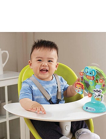 La Grande Roue Des Baby Loulou - Vtech