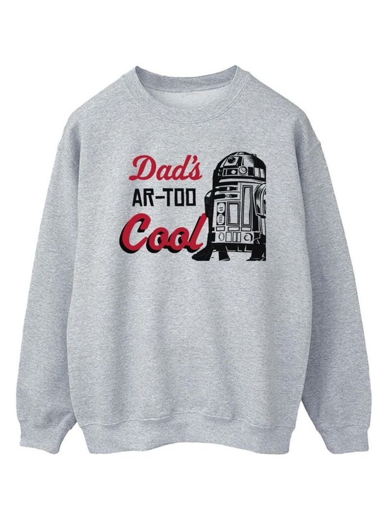 La Guerre des étoiles - Sweat DADS R2 COOL Gris chiné - Kiabi