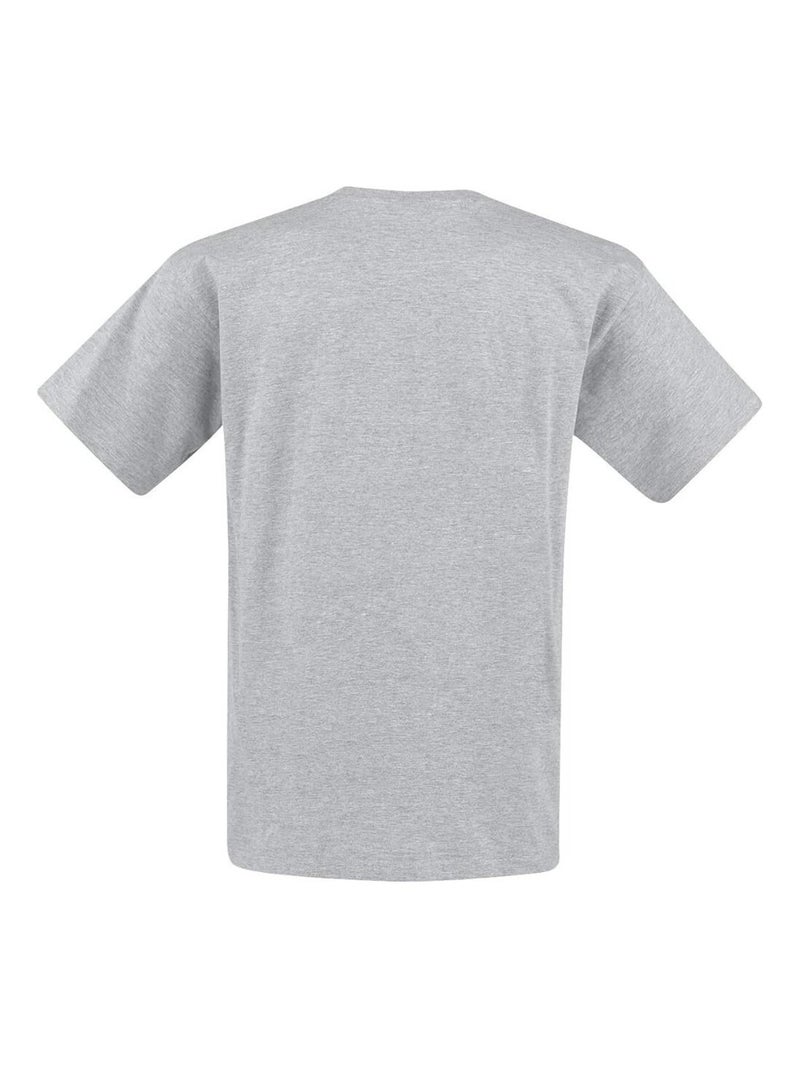 La Guerre des étoiles - T-shirt CHEWIE ON THE BEACH (Chewbacca) Gris - Kiabi