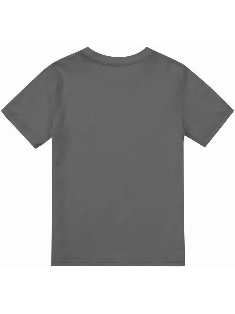 La Guerre des étoiles: The Mandalorian - T-shirt THE LEGEND CONTINUES (Grogu, Mandalorien) Gris Noir - Kiabi