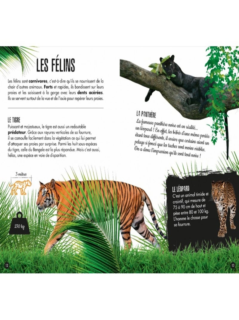 La Jungle - L'éléphant 3D N/A - Kiabi