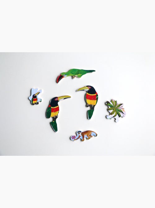 La jungle d'alain thomas - Kiabi