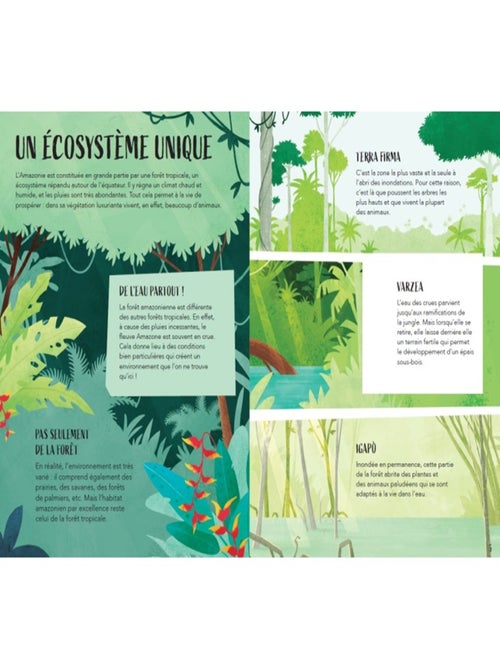 La Planète en Danger - L'Amazonie - Kiabi