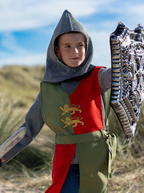 Labay | Accessoires déguisement enfant – Glaive et bouclier de chevalier Labay - Kiabi