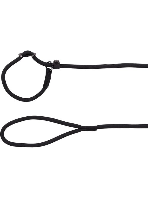 Laisse anti-traction Aiden - Kiabi
