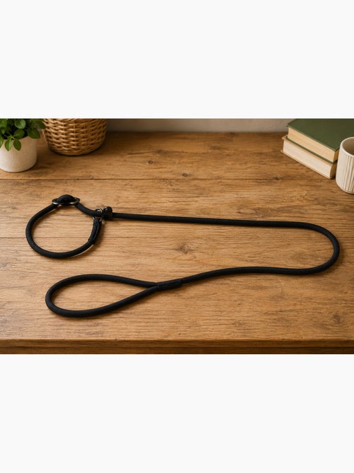 Laisse anti-traction Aiden - Kiabi